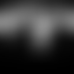 The leading light itunes