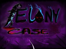 Felony Case