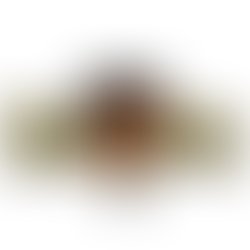 Received 679592255834245