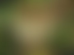 Artist 6740869 1577905389