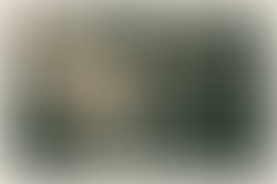 1427863051 dsc 2049