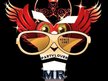 MR PARTY LOVER