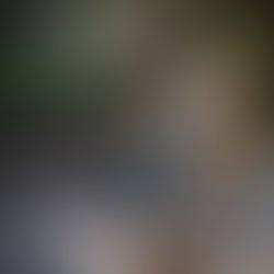 Img 20191130 153601 981