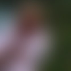 2019 12 22