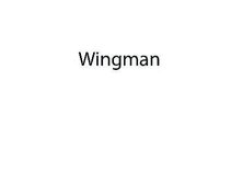 Wingman