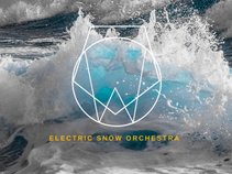 Electric Snow Orchestra