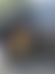 B4d46b29 7999 4ee6 9dbe bdcf1a27e050