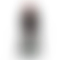 Artist 678259 1629635743