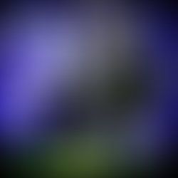 Artist 6789539 1581361576