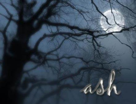 ReverbNation profile picture for @ash