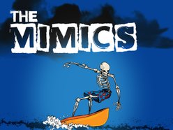 Image for The Mimics