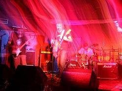 Image for Dead Rabbits