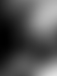 Wm5 closeup 696x920 1267311062