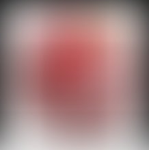 Honorable seo arvada seo marketing fav