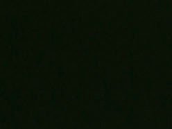 Image for Slangdoll