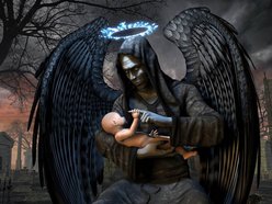 Image for 13 ANGELS