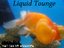 Liquid Tounge (Artist)