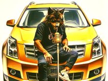 DatLouisianaWolf