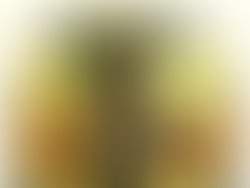 0665f5b6d54bf3fdc7f7a5bf93a8b09d 1 1 1 