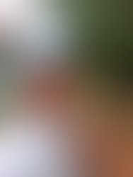 Fb img 15831880998544439