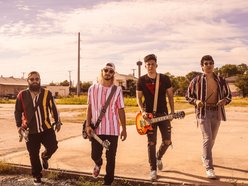 Image for White Rabbit