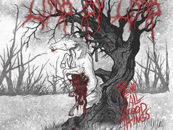 Image for LIMB BY LIMB