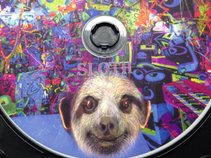 Sloth