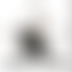 Fb img 15853812948106015