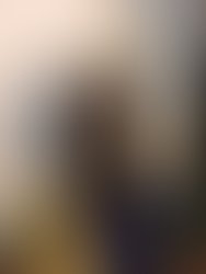 1d408123 d71e 4ebf aac1 34189a563bdd