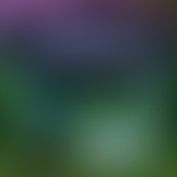 Abad35fc3b96a2386b339945af06939886009330