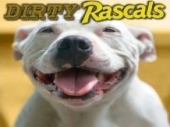 Image for Dirty Rascals
