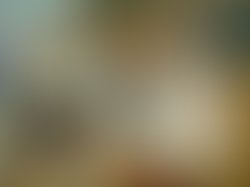 Photo 20200327 161818