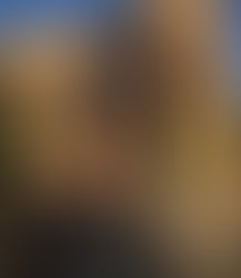 79334192 426276504975703 2809536531507707904 n