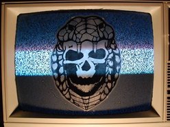 Image for Cobra Skulls