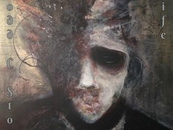 Image for Todd Stone