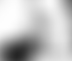 P 20181209 082928 bf 1