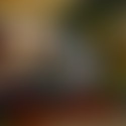 Front cover 1267400397