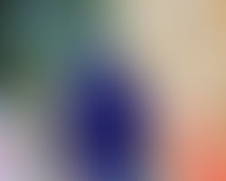 Img 20191113 141522 349