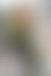 81187397 158049465465600 4659602387273515008 o