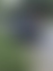 E36d47ff dc04 4291 aed9 35db66982ad8