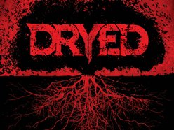 Image for DRYED