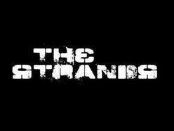 ReverbNation profile picture for @strands