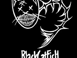 Image for BlackCatFish