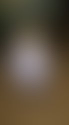 81072277 850396768728738 4848349037243400192 o