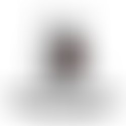 Artist 6928726 1714553642