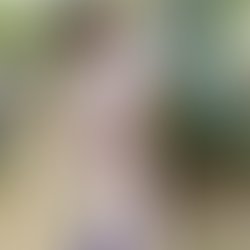 B593d25e e61f 48cc bc86 a8b1b046da08