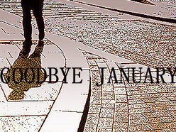 Image for goodbye january