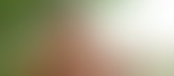 Img 20200621 wa0048