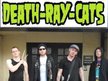 DEATH RAY CATS