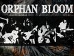 Orphan Bloom
